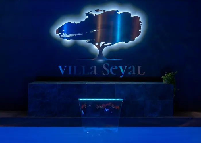 Villa Seyal - avec piscine - jacuzzi - sauna&climatisation Le Mans